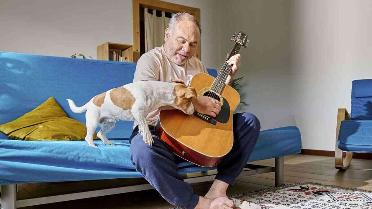 Diese Musik kann Hunden guttun – doch es kommt darauf an