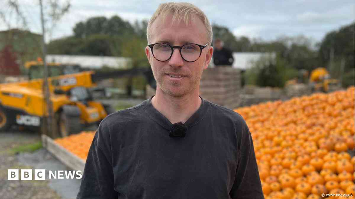 Pumpkin mosaic of national treasure set to be unveiled