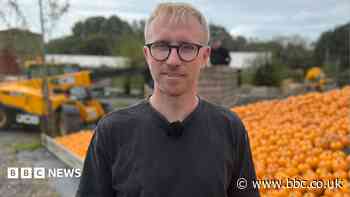 Pumpkin mosaic of national treasure set to be unveiled