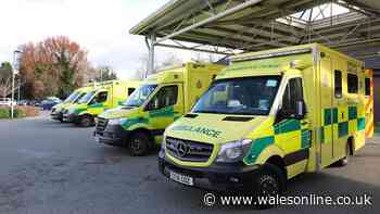 Welsh health board records 13 serious 'never events' in a year