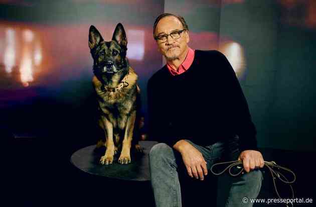Jim Belushi und die Helden auf vier Pfoten: In neuer Doku-Reihe auf Crime + Investigation zeigt der Hollywood-Star Polizeihunde im Einsatz