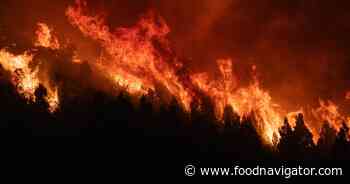 54% of Big Food say climate resilience is critical. Just 6% have a plan