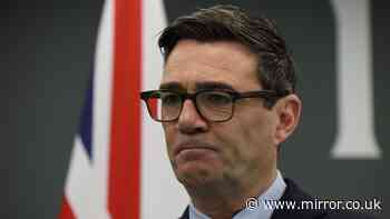 'We're not your enemies' Andy Burnham tells EU amid trade policy fears