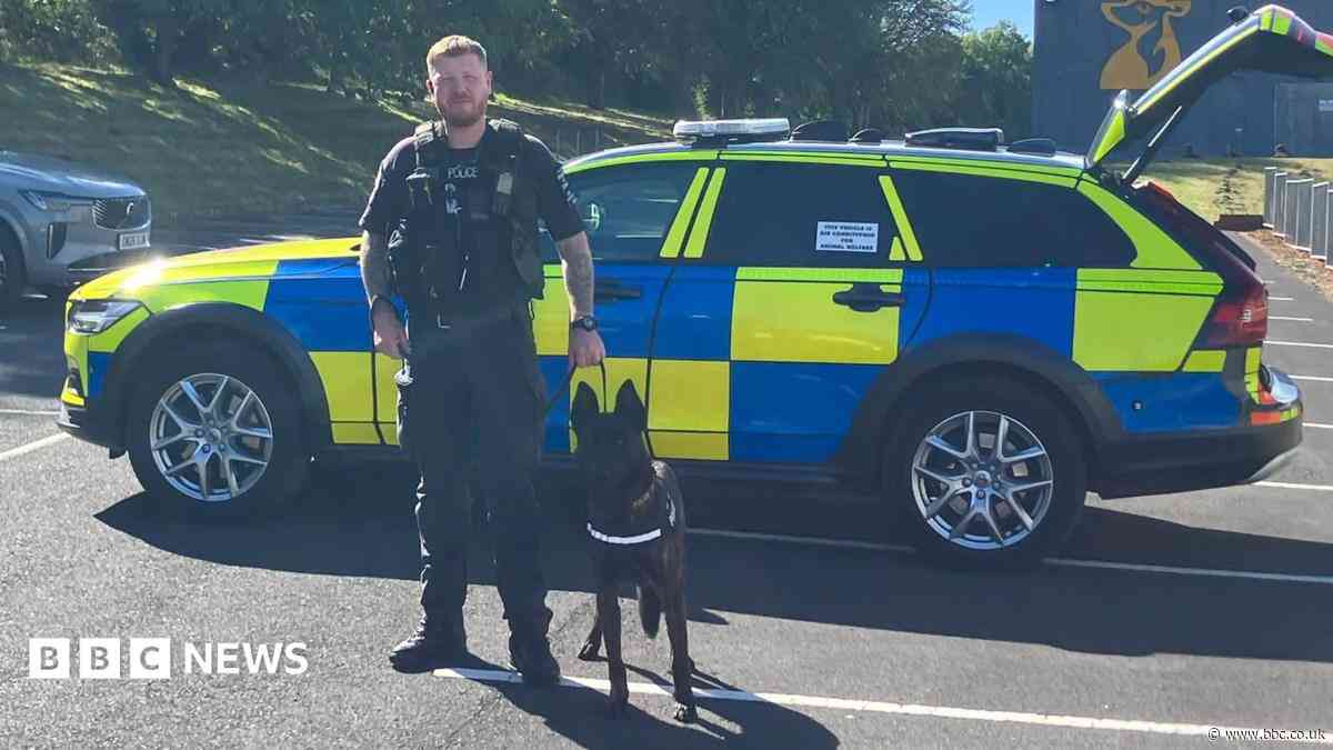 Why police force has put body cameras on dogs