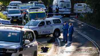 Mother is charged over Blue Mountains alleged stabbing attack on children after passing cyclist discovered bloodied car