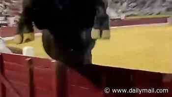 Moment enraged bull leaps over safety barrier and straight into spectator filming as crowd screamed at Spanish arena
