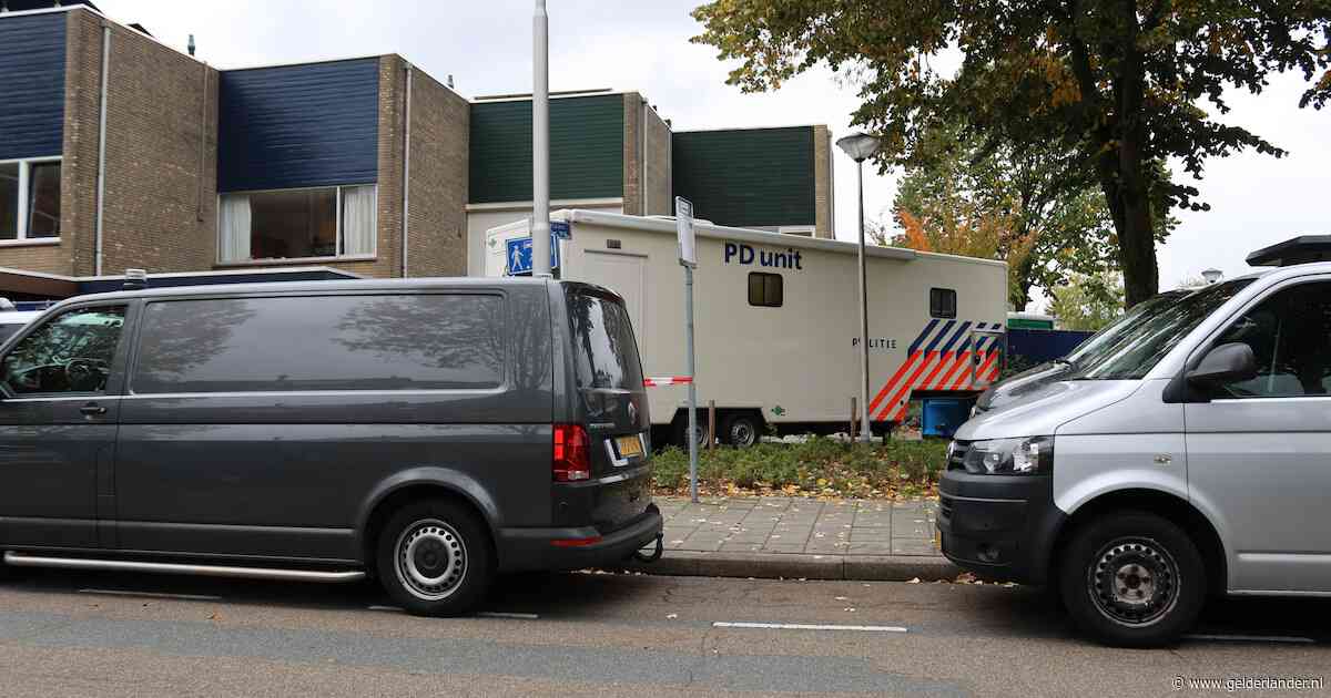Verdachte (26) van gruwelijke woningoverval: ‘Ineens stond ik daar, en was daar die vrouw’