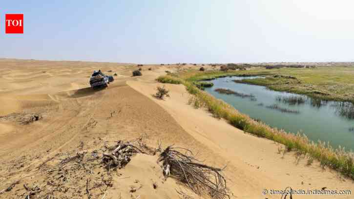 Taklamakan Desert, which is surrounded by a green belt of plants, now might have hidden water resource