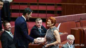 Alex Antic, now Liberal state president, says Coalition must work with One Nation