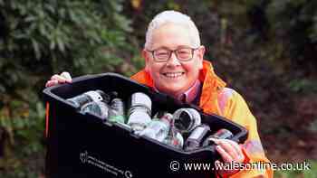Carmarthenshire residents to get more bags and containers for rubbish collections