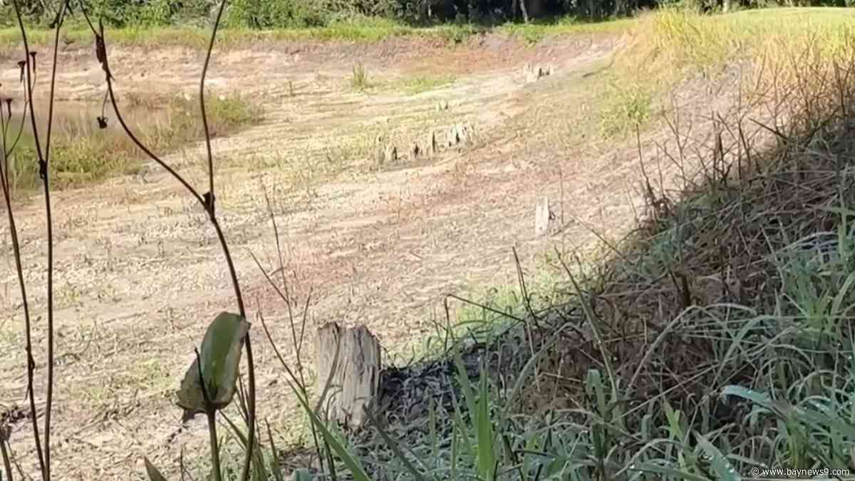 Southwest Florida water officials may extend water shortage order despite summer storms