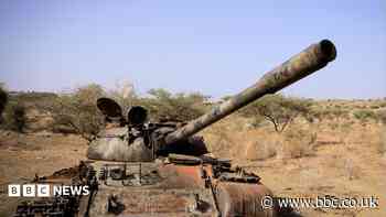 Seven Ethiopian rebel groups form new alliance