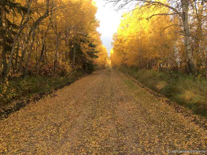 Cooler start, warmer trend: What to expect as fall officially arrives