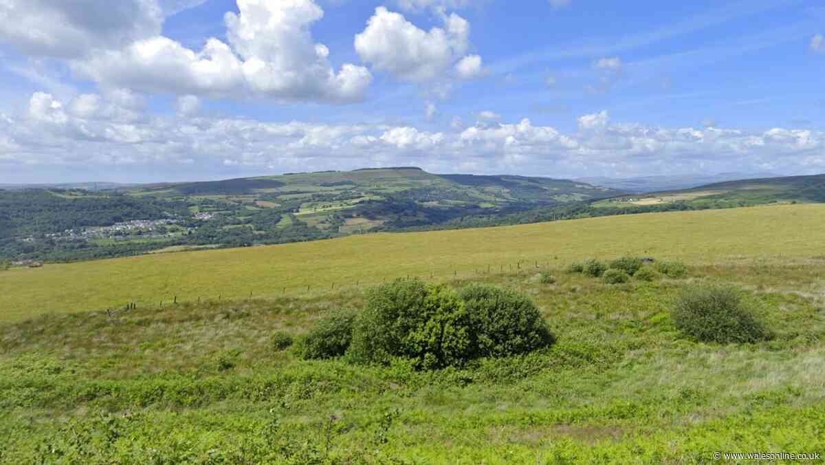 £1 billion tram link between Swansea and Neath Valley put on the backburner