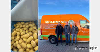 "Het is ongekend hoe populair de kleine aardappeltjes met schil tegenwoordig zijn"