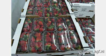 Waarom fruitpunnets in Zuid-Afrika nauwelijks worden gerecycled