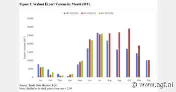 Chileense walnootoogst stijgt 3% naar 170.000 ton