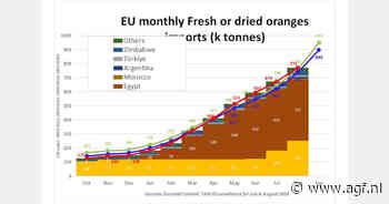 EU-import citrus stijgt 14,9% in seizoen 2025/26