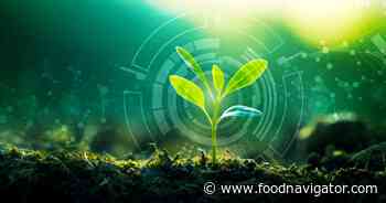 Flavor via fermentation reaches new efficiency with AI