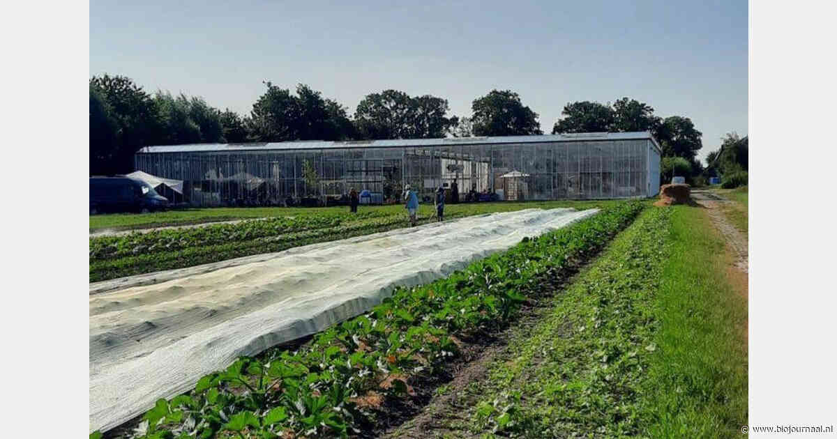 Nieuwe Herenboerderij start op grond met dertig jaar biologische teelt