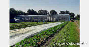 Nieuwe Herenboerderij start op grond met dertig jaar biologische teelt