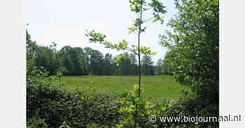 Staatsbosbeheer opent registratie voor natuurinclusieve pacht in Aaltense Goor
