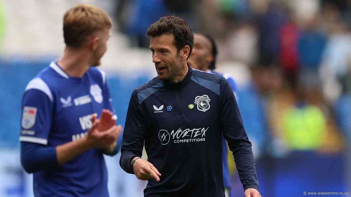Cardiff City to return a totally different beast as hidden advantage emerges