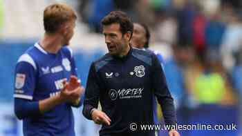 Cardiff City to return a totally different beast as hidden advantage emerges