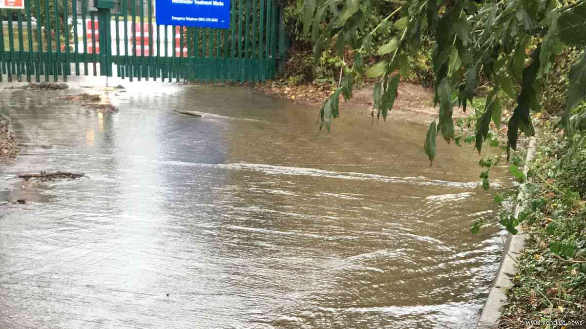 Southern Water fined over sewage pollution where dead fish and eels found in Kent
