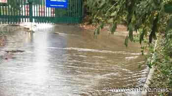 Southern Water fined over sewage pollution where dead fish and eels found in Kent