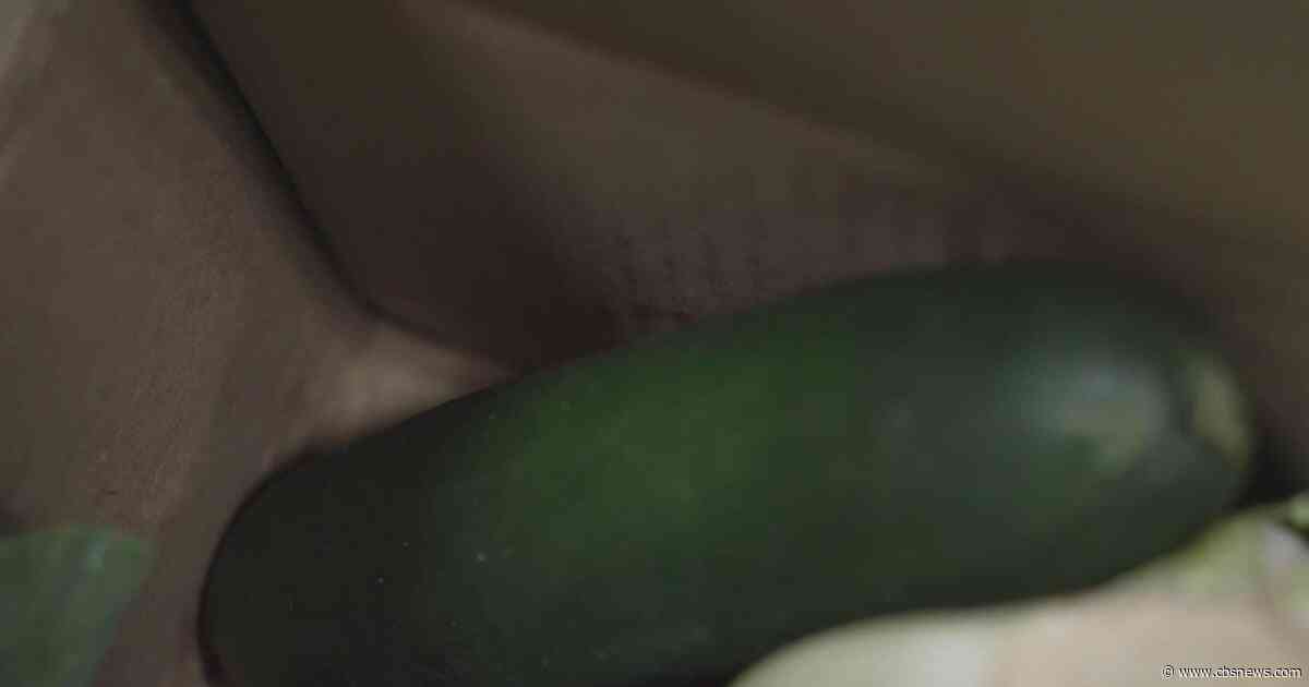Atlanta food bank distributes 1,350 produce boxes to support brain health