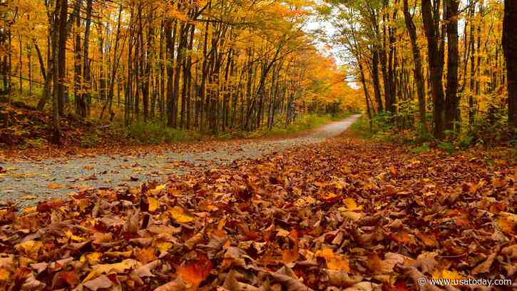 Autumnal equinox marks the start of fall, but heat could stick around