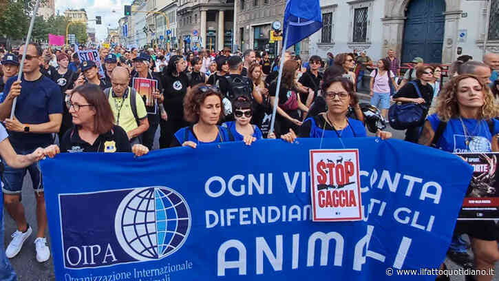 Caccia, corteo contro il ddl sparatutto a Milano. Costa: “Il governo Meloni vuole i voti dei bracconieri”
