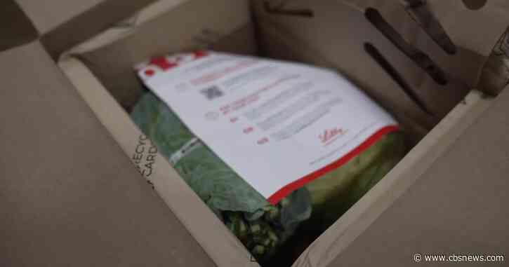 Fresh food, healthy minds: Atlanta seniors receive produce during World Alzheimer's Month