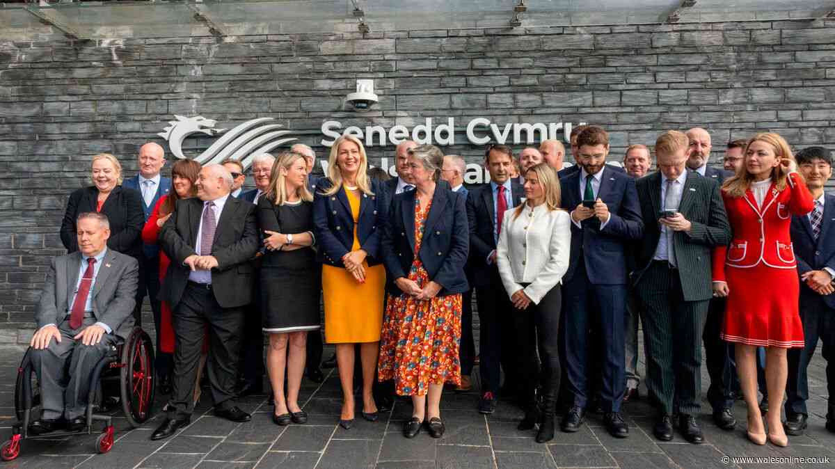 Reform UK name new deputy leader in Wales