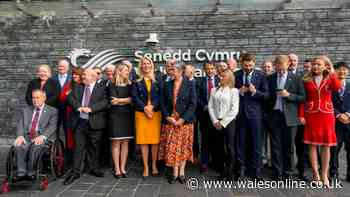 Reform UK name new deputy leader in Wales