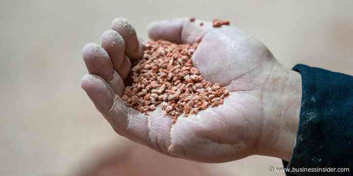 Trump wants potash from Belarus. A Canadian premier warns it would have to go through Russia.
