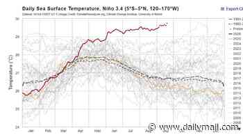 Super El Niño breaks the temperature record months BEFORE its peak - as scientists warn it will be largest in at least 1,000 years