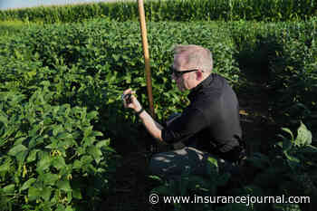 Scientists Research Deeper-Rooted Crops to Combat Climate Change
