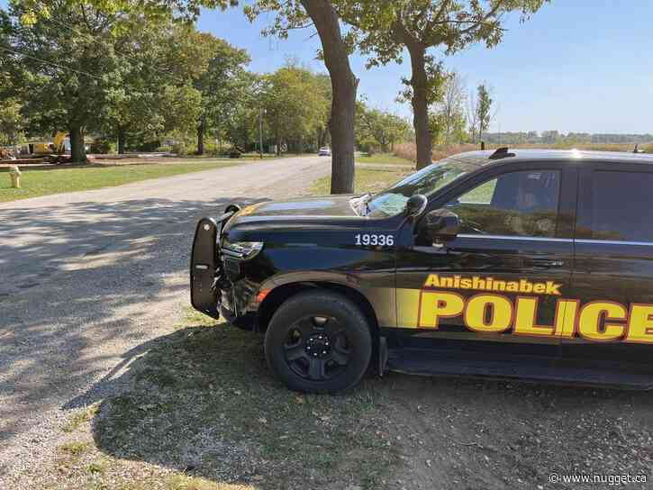 Multiple charges laid after driver takes vehicle onto rail tracks, attempts to flee
