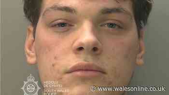 'I used to be outgoing and enjoyed life - now I wake up with nightmares because of what this man did to me'