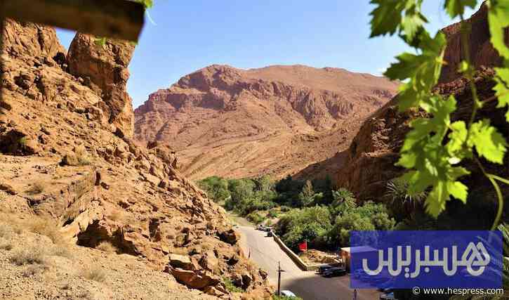 حرارة تصل 42 درجة وزخات رعدية قوية