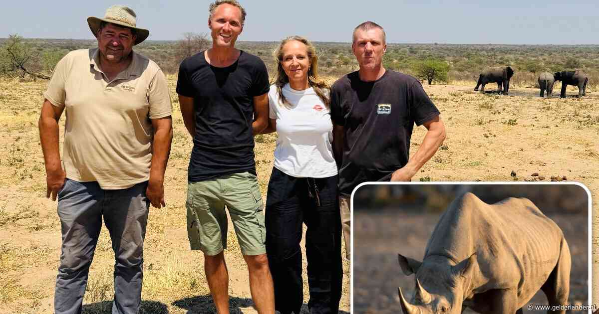 Drie Nederlandse vrienden halen iconisch dier naar Botswana: ‘Er waren er nog maar 24, nu is dat verdubbeld’