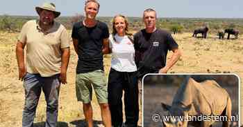Drie Nederlandse vrienden halen iconisch dier naar Botswana: ‘Er waren er nog maar 24, nu is dat verdubbeld’