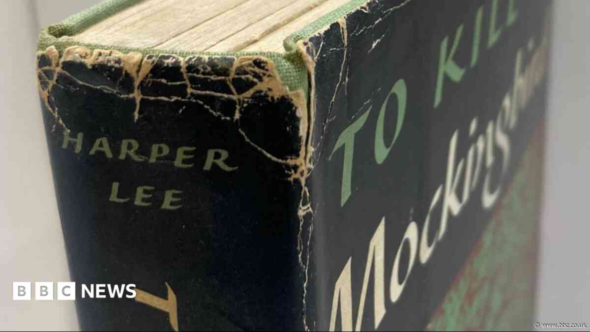 To Kill a Mockingbird first edition found in charity shop