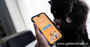 Instagram, Facebook, Snapchat en TikTok zitten in het verdomhoekje, daar speelt Hyves slim op in