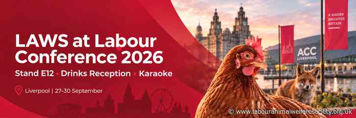 Join LAWS at Labour Conference 2026