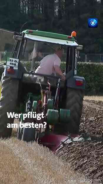 Bei den National Ploughing Championships treten Teilnehmende beim Pflügen gegeneinander an. #Irland