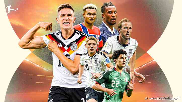 Länderspielpause im Herbst: Bundesliga-Stars weltweit gefordert