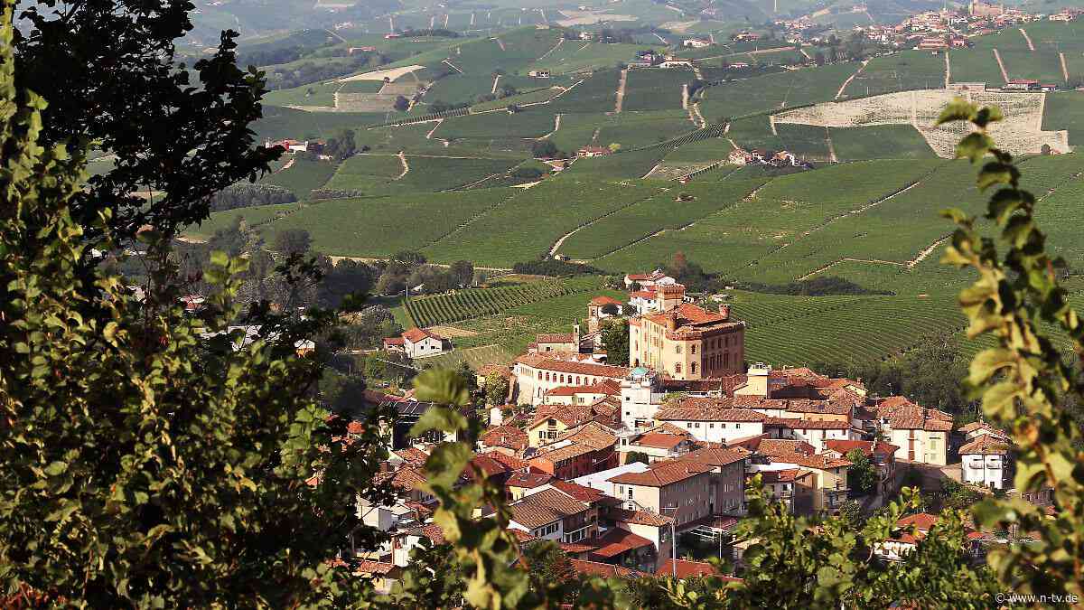 Sorgfältig geplanter Einbruch: Vermummte stehlen Tausende Flaschen mit teurem Rotwein
